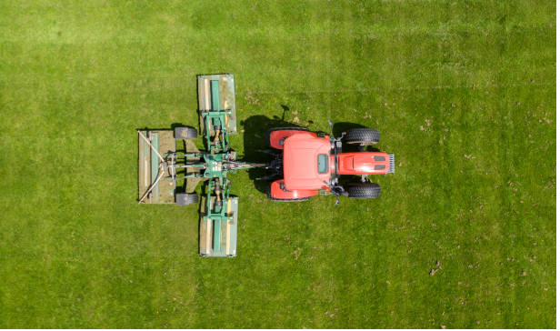 Manicured lawn in front of a glass office building