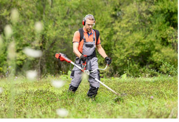 Crew member mowing manicured public gardens with flower beds and walkways