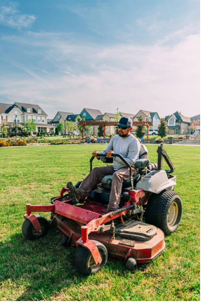 Wide-area mower maintaining turf beside a public playground